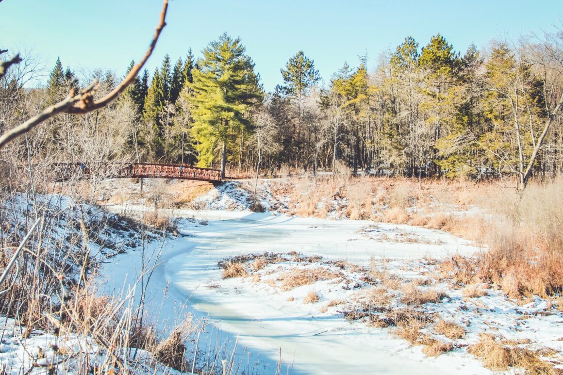 Sugarbush Trail Gatineau Park | Kid friendly hikes in Gatineau Park