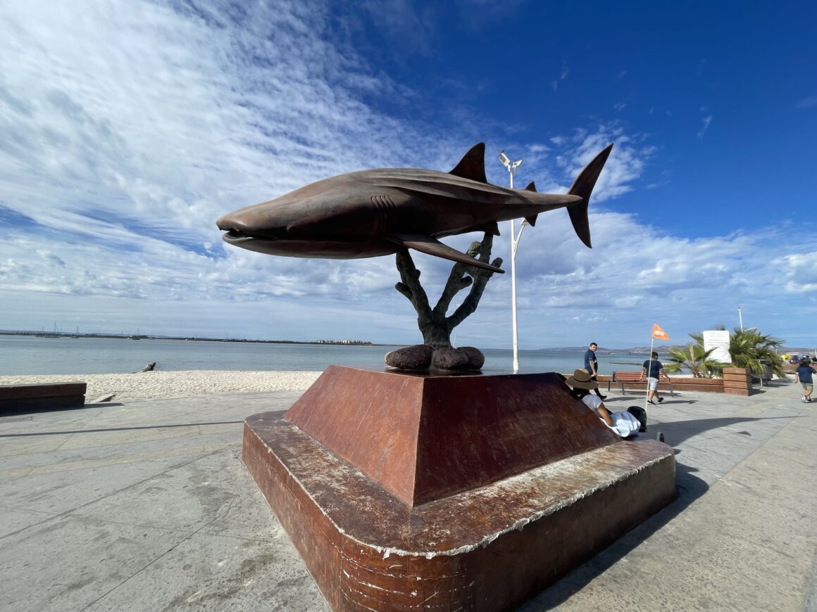 Sculpture de Requin sur le Malecón à La Paz au Mexique