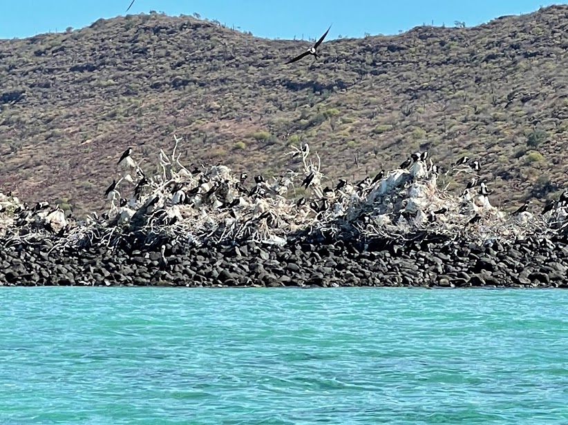 voyage la paz mexique